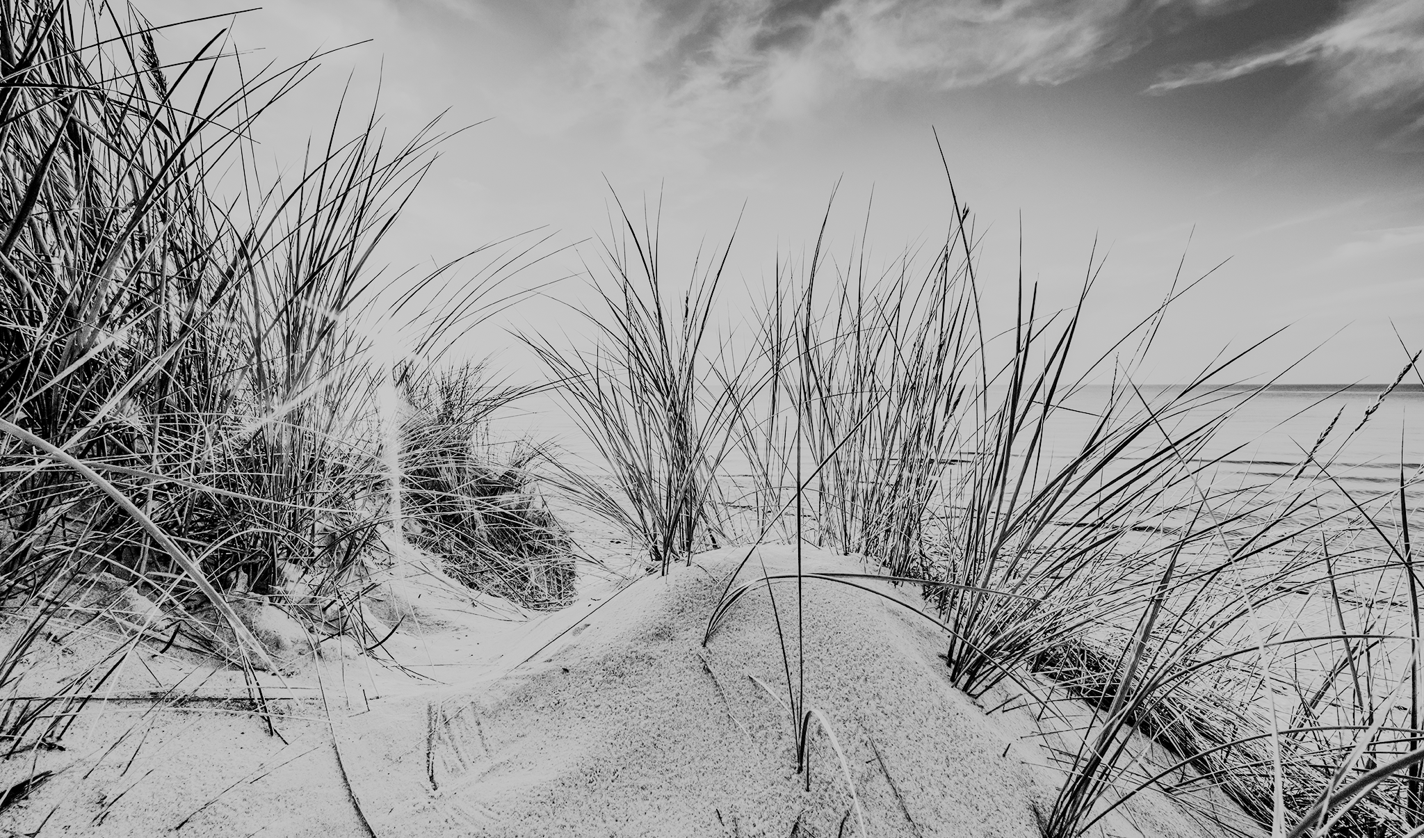 leben&arbeiten_bei_msisdesign