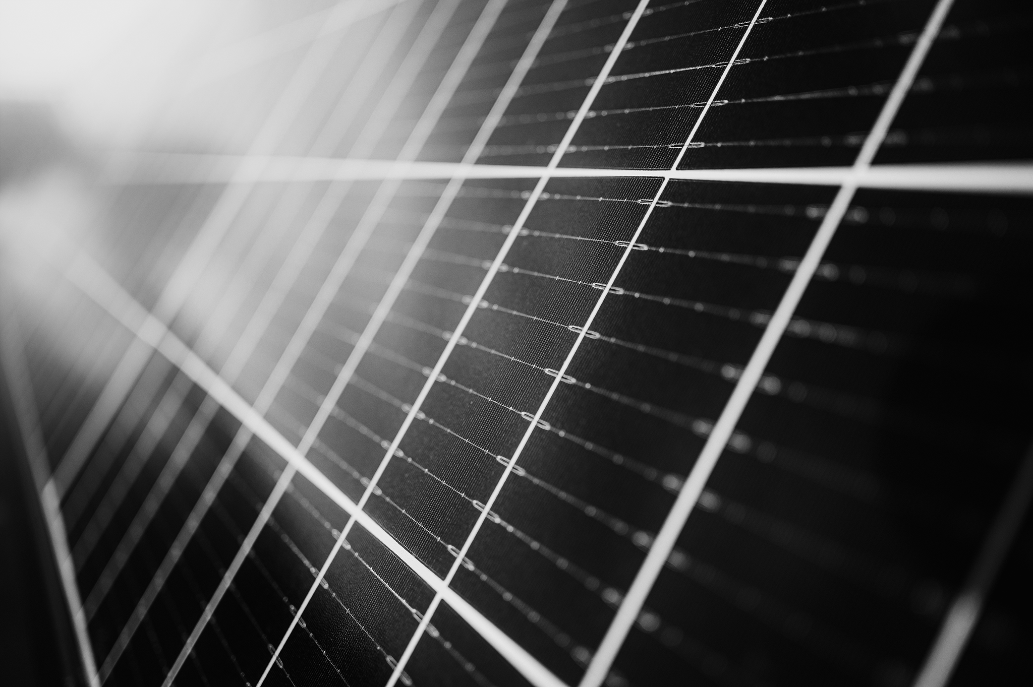 msisdesign_nachhaltigkeit