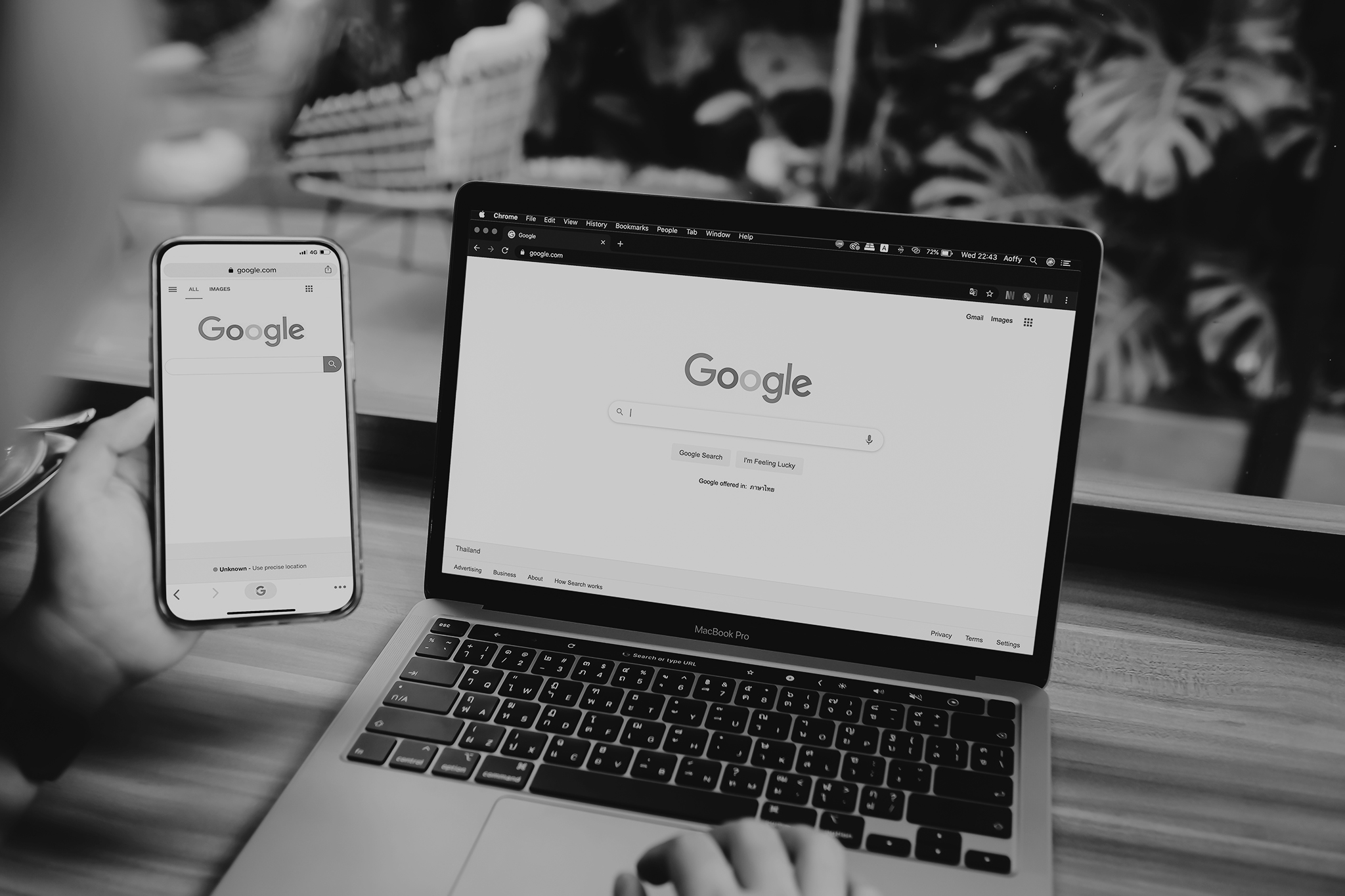 msisdesign_seo_und_sea